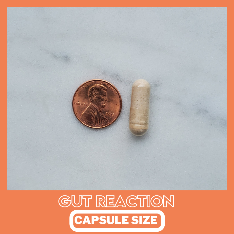 GUT REACTION (Capsule Version) -Probiotic Advanced Formula  (45 Day Supply)